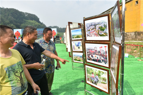 现场摆放的杨场风景照2.jpg