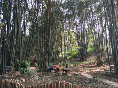 竹林驿站就地取材，美化环境    张艺达摄.jpg