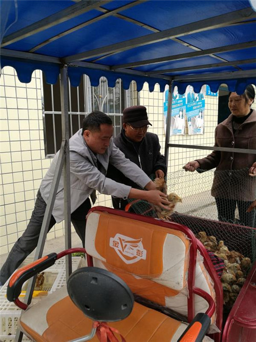 微信图片_20190725125329_副本.jpg