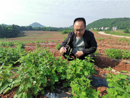 微信图片_20191010104153_副本.jpg