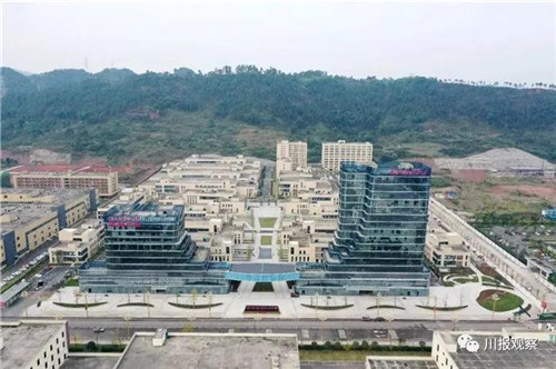 临港经开区产业集聚，厂房林立。.jpg