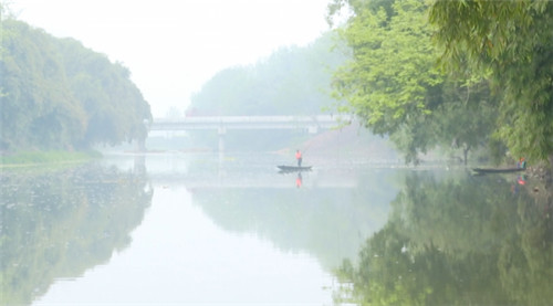 QQ图片20200317165310.jpg
