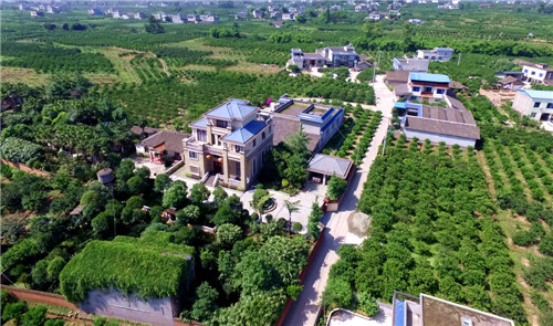 丹棱镇龙滩村 彭林.jpg