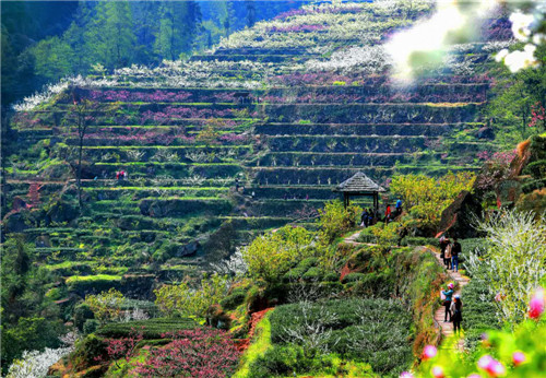 路丹棱段沿线分布着该县白塔公园,梅湾湖景区,幸福古村等主要旅游景点