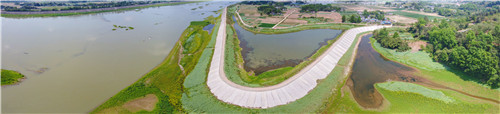 生态湿地.jpg