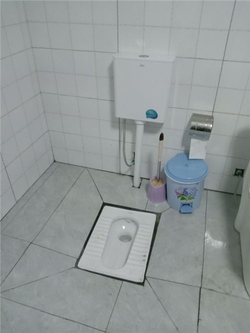 > 地方报道 据了解,彭山区"厕所革命"是将农户厕所进行无害化卫生改造