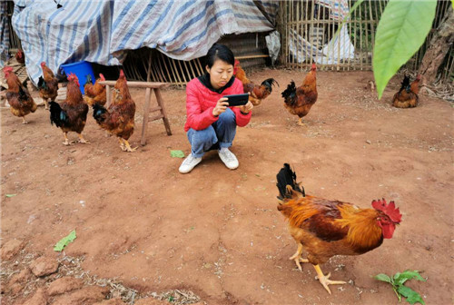 图片6.jpg