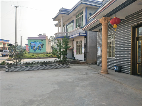 丹棱县杨场镇古井村干净的农户房屋，该村在墙体绘制3D画，既提升了颜值，又吸引了游客.jpg