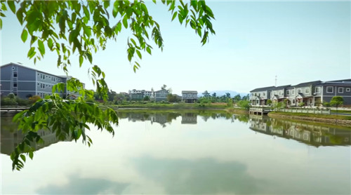 产业兴、百姓富、生态美的丹棱新农村 陈春光摄.jpg