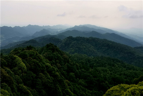 观望台看到：群山成岭见则成峰，远近高低各不同.jpg
