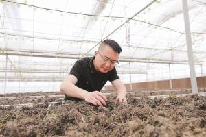 向峰：追光逐梦 奔跑在农业发展的“新赛道”