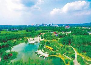 与夏相约 寻竹赏竹