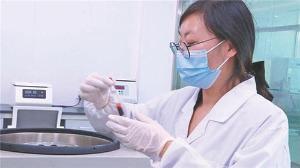 探访白酒文化基地 感受中国工匠精神