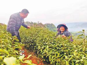 瓦窑村：巧用“三举措” 建设幸福美丽新村