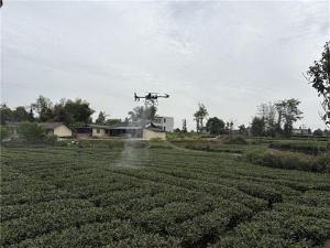 科技助力茶叶产业提质增效 植保无人机管护培训顺利举办