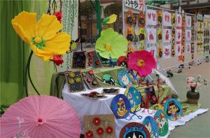 南江县桥亭镇九义校举办科技教育创新成果展