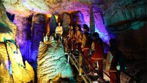 世界地球日：校协联动助力青少年探索地球科学