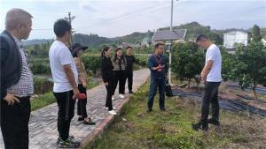 邻水县：人才“磁力场”激活兴业“动力源”