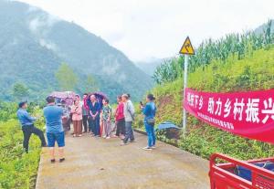 惠定村：金银花里采“金银” 花香溢满致富路