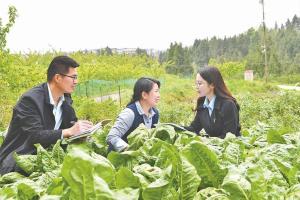 科技“点单”解民忧 良策“富民”促振兴