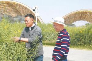 把“四良”集成增效写在大地上