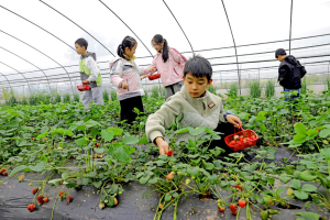 广安区：广福街道岩头社区开展公益户外研学活动