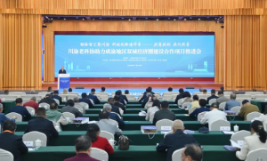 川渝老科协助力成渝地区双城经济圈建设合作项目推进会在内江举行