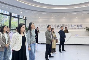 东兴区：“党建+”赋能服务外包产业