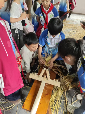 南江县抓实科普研学游 点亮青少年科学梦想