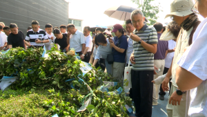前锋区：田间问诊青花椒 专家授课传良方
