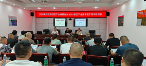 多方联动送良方 数字技术赋能大雅柑