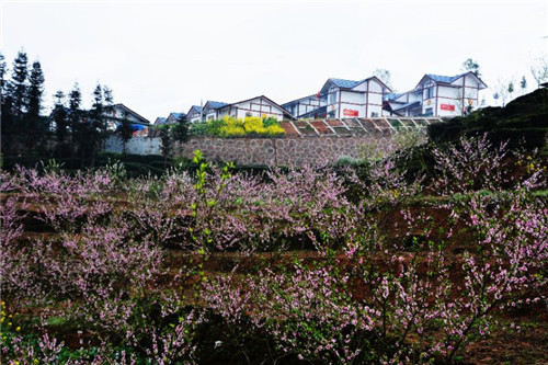 20181019B30_副本.jpg