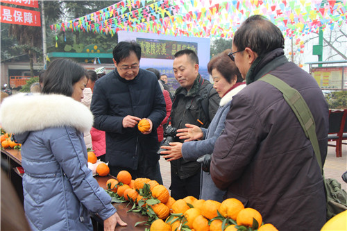 20181219B4_副本.jpg