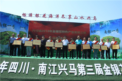 兴马镇举办第三届金银花文化旅游节