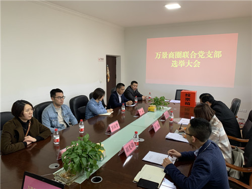 召开万景商圈联合党支部选举大会.jpg