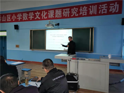 彭山二小举行小学数学文化课题研究培训活动