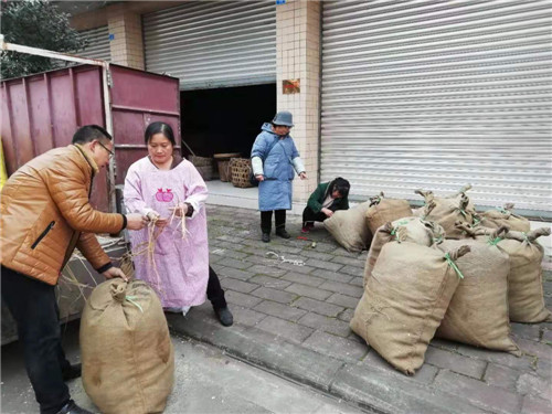 剧组寻找制作表演道具.jpg