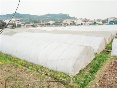 广安市枣山园区春耕防疫两不误.jpg
