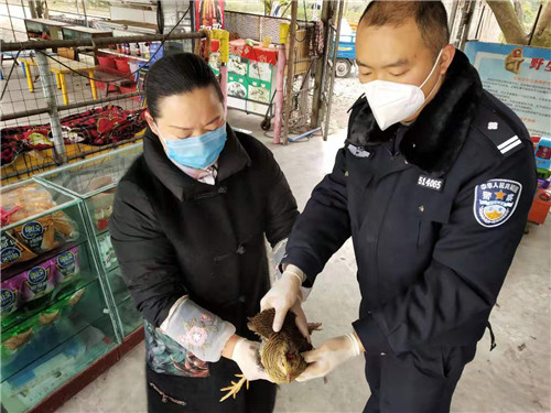 救助野生动物.jpg