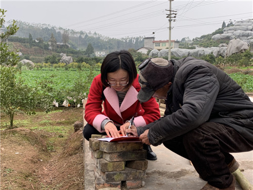 第一书记带货忙 助农增收有妙招