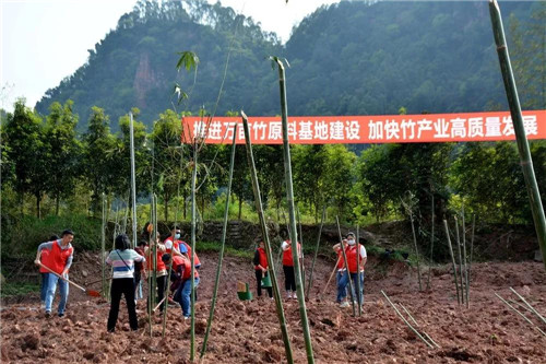 植竹现场.jpg