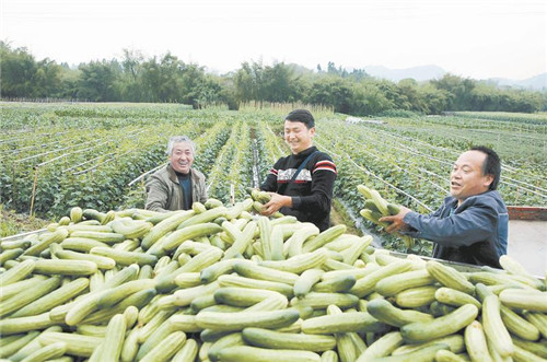 丰收的喜悦