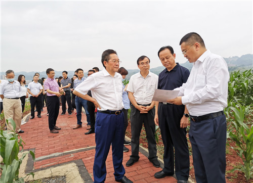 调研组一行在邻水高滩园区调研.jpg