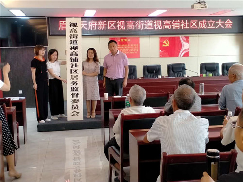 视高街道11个村级建制调整涉改村（社区）正式挂牌