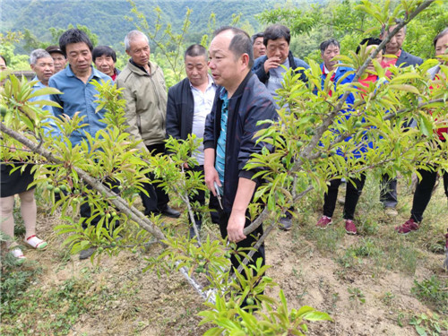 南江县：科技专家为偏远山村送技术