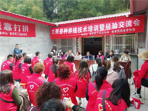 大英县科协：科技助力脱贫攻坚  