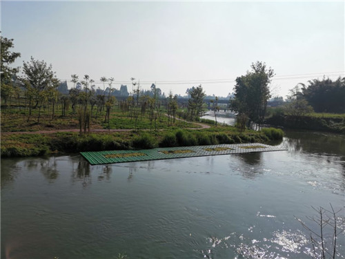 毛河生态浮岛.jpg