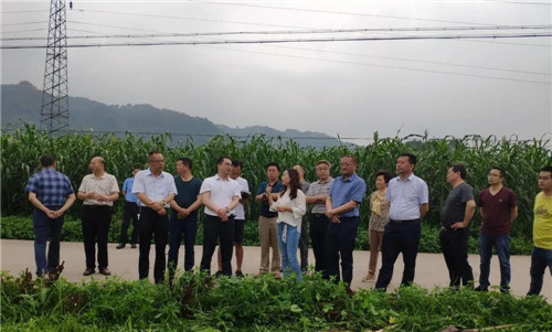 洪雅县：助力草牧业高质量发展