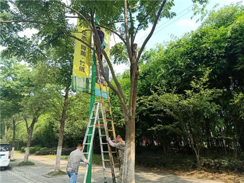 图片4.jpg