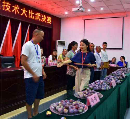 丹棱县：技术比武促产业提升